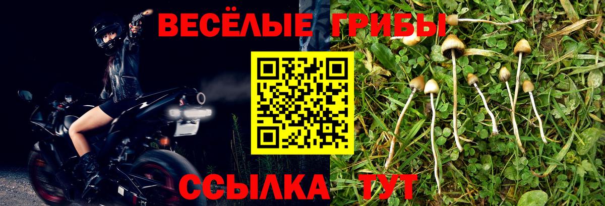Галлюциногенные грибы MAGIC MUSHROOMS  Вход с VPN  Астрахань 